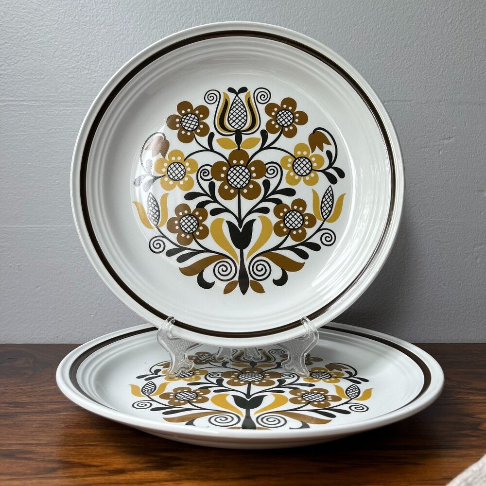 Folklore Ironstone Ware by Myott England 2 Dinner Plates 10" Brown Flowers